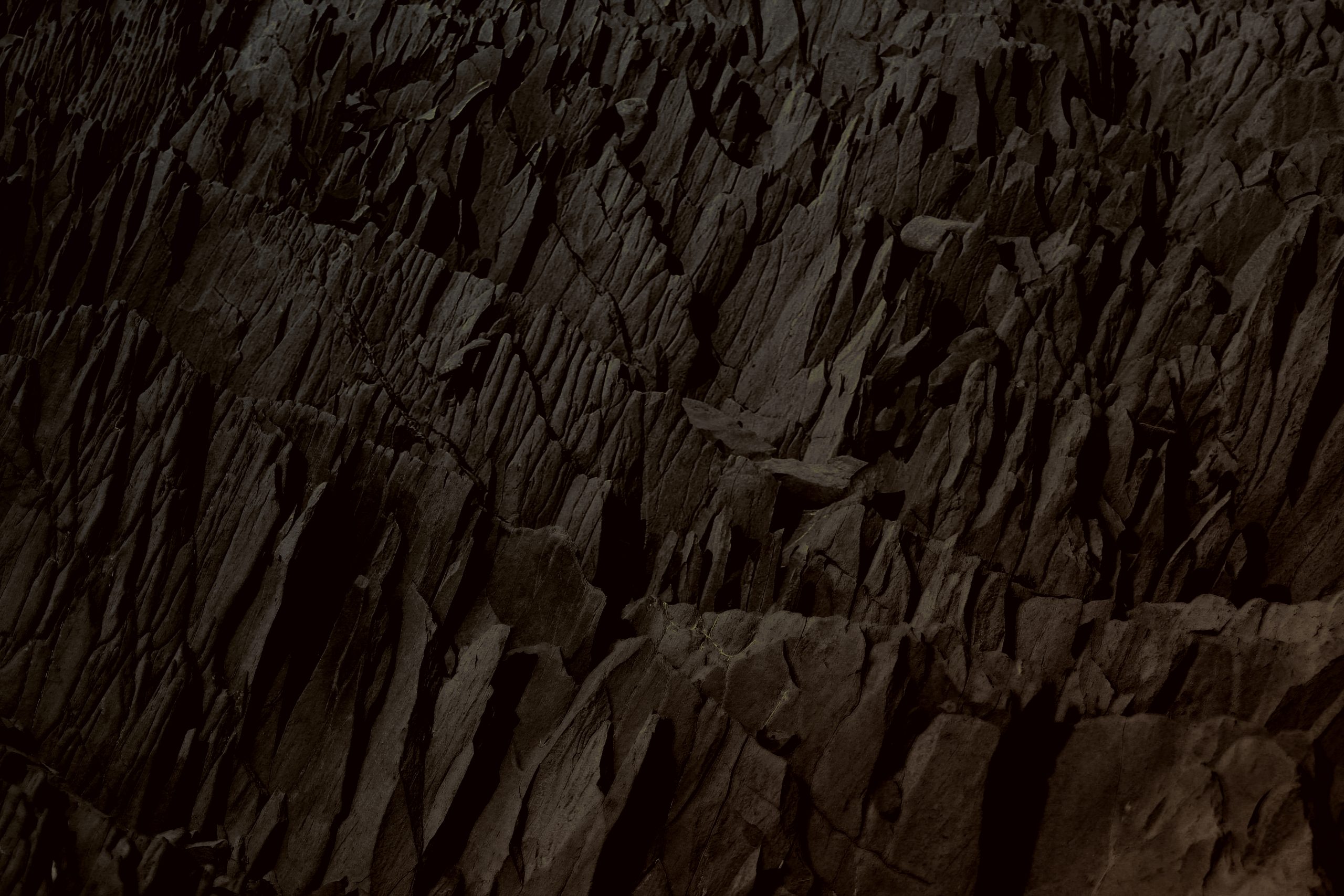 lou-batier-5EoWFa_Htdo-unsplash_Orange_Dark